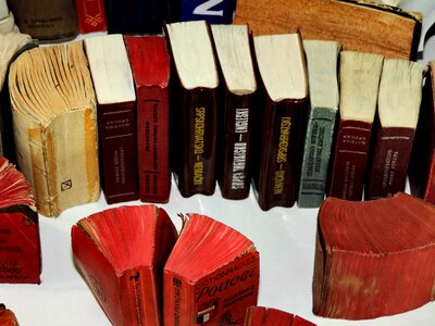 Book wood paper