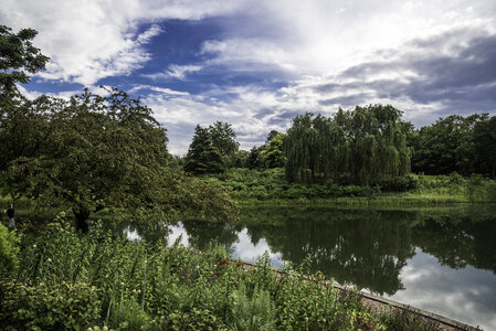 Small Pond with lots of plants in Chicago Botanical Gardens