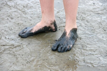 Watts wadden sea north sea photo