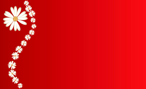 Daisies On Red Background