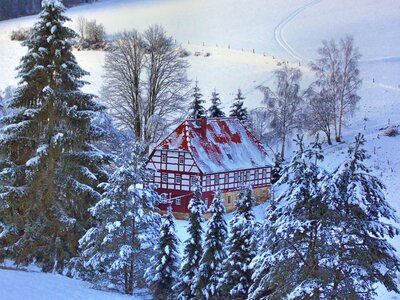 Snow nature saxon switzerland