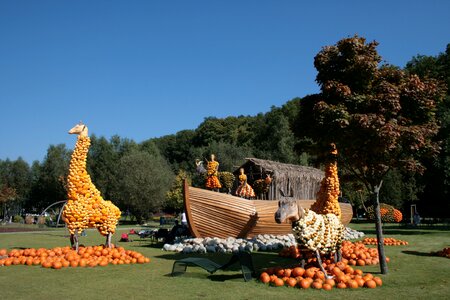 Sun autumn vegetables