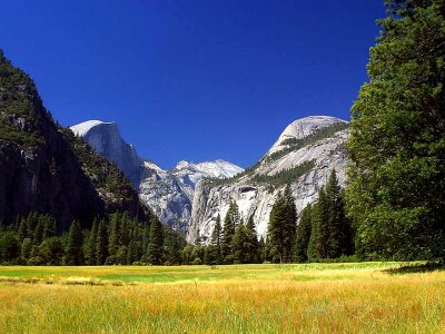 Domestic half national park