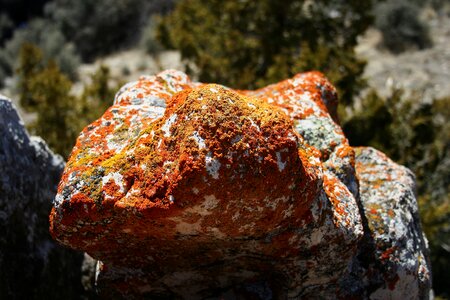 Stone rock formation fungi photo