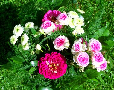Bunch of flowers pink and white flowers cut flower