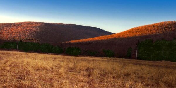 Daylight field grass photo