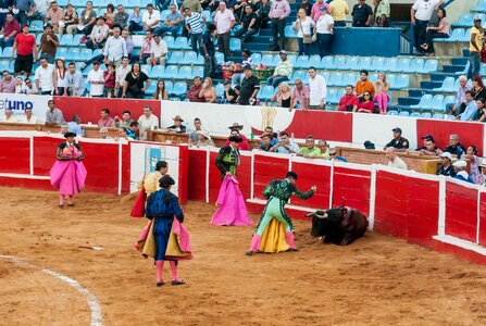 Traditional corrida - bullfighting in spain photo