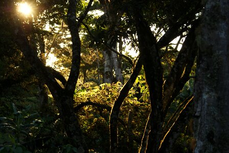 Natural nature diversity