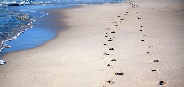 Beach ocean lovers photo