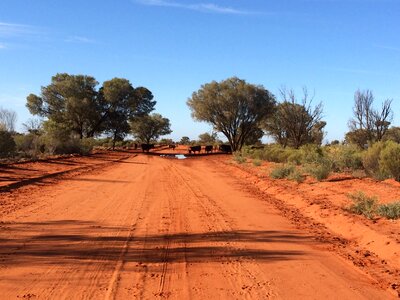 Nature australian outback desert