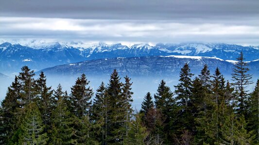 Mountains snow forest photo