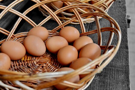 Egg eggshell market photo