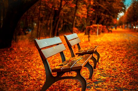 Rest sit autumn photo