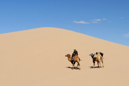 Sand dune camel desert landscape photo