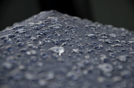 Droplets rainy water photo
