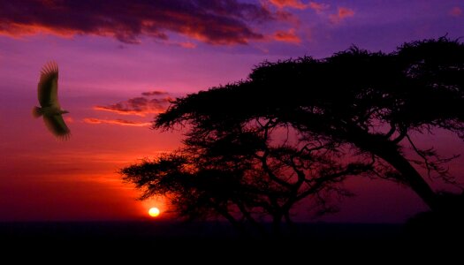 African landscape scenic photo