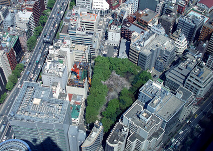 Buildings of the central area in Tokyo photo