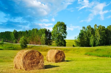 Farmers farming nature