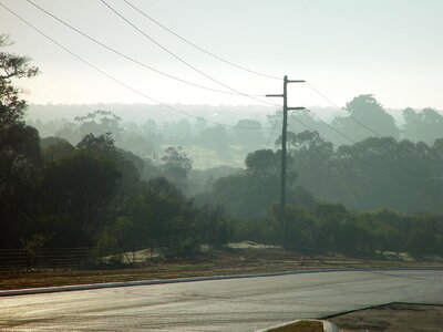 Bell foggy phylum