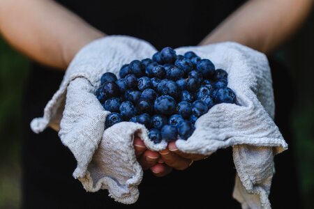 Hands Holding Blueberries photo