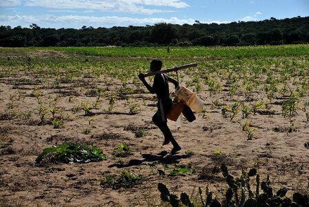 Agriculture drought farm