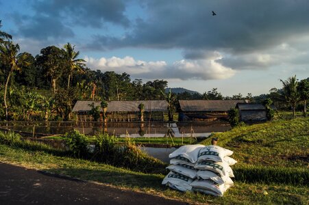 Storage south east asia agriculture