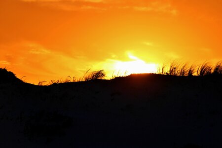 Sun sand dune beach photo