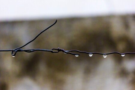 Drops wet sharp