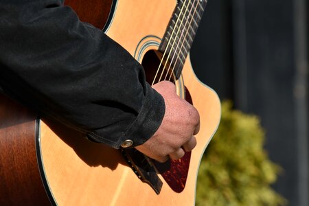 Acoustic entertainer musician