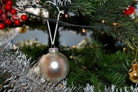 Christmas christmas tree light