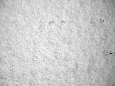 Snow surface 