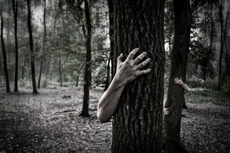 Zombies forest horror photo