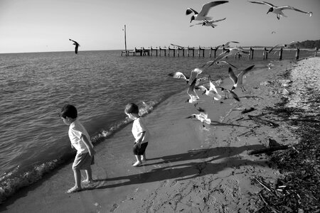 Shore gulf of mexico water