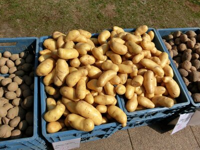 Vegetables food boxes photo