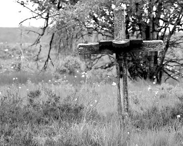 Black And White cemetery cross photo