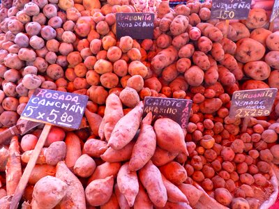 Vegetables market peru photo