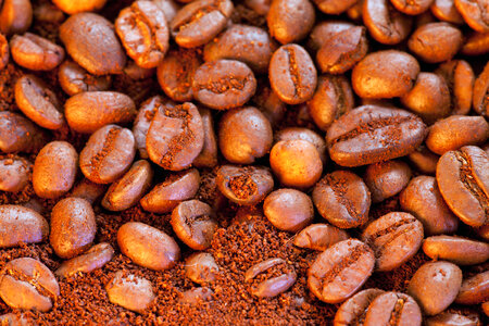 Coffee grains