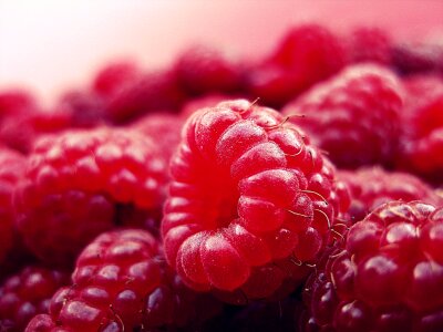 raspberries background photo