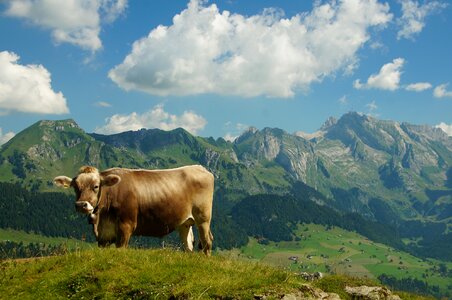 Mountain hiking nature vision