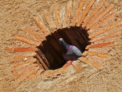 Construction brick nest photo