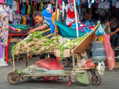 Child working selling vegetables photo