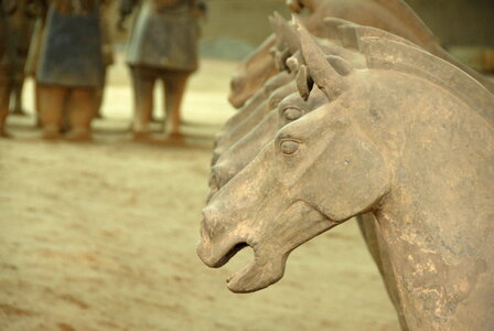 Xi ' an terracotta Warriors photo