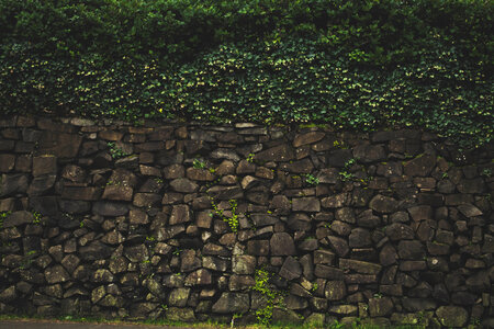 Bricks brown green