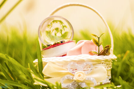Basket with snow globe in grass photo