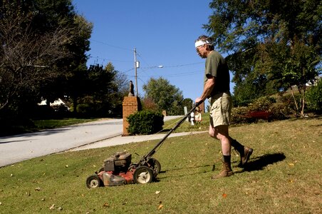 Brow gardening grass plants photo