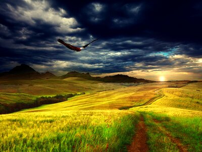 Eagle flying over the landscape with clouds above photo