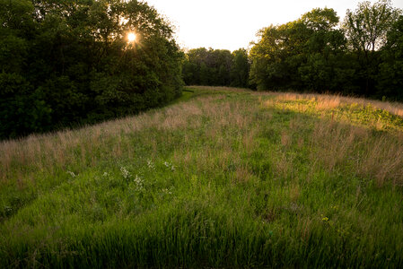 Sun and Prairie View Landscape photo