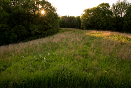 Sun and Prairie View Landscape