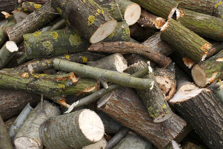 Firewood pile texture photo