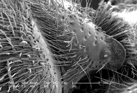 Exoskeleton sense surface